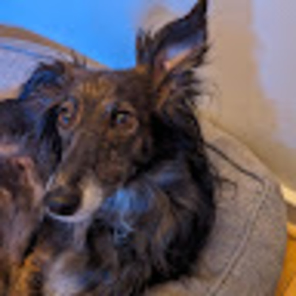 kjamesloll